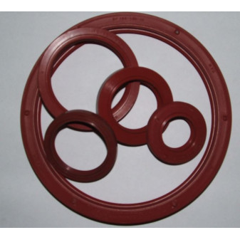 OIL SEALING Si GP 85*110*13 DPV PN029403