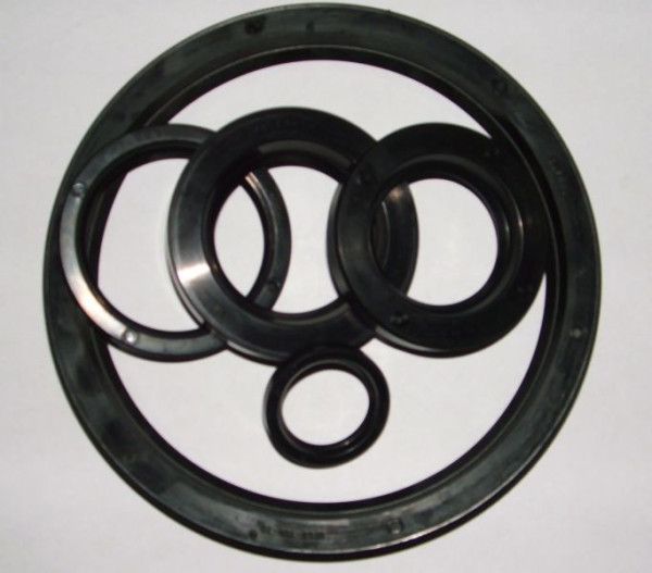 OIL SEALING GP 58*80*13