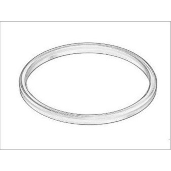 SEALING RING