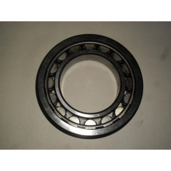 BEARING NU 219