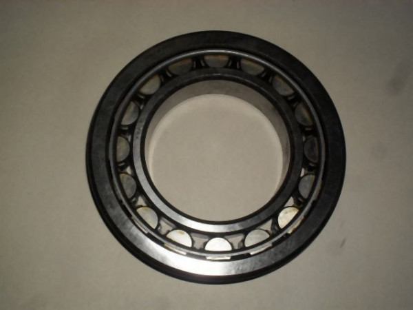 BEARING NU 219