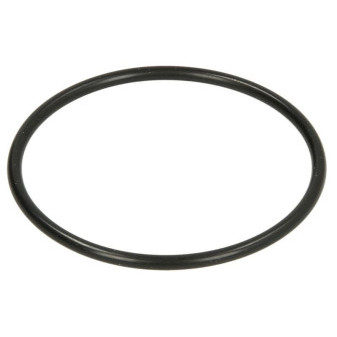 SEALING RING DAF