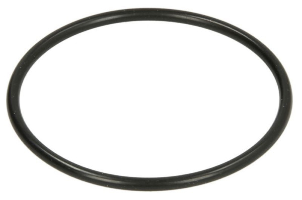 SEALING RING DAF