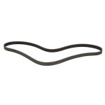 SERPENTINE BELT  6PK831