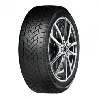 Pneumatika DELINTE Z195/65 R15 91H WD1