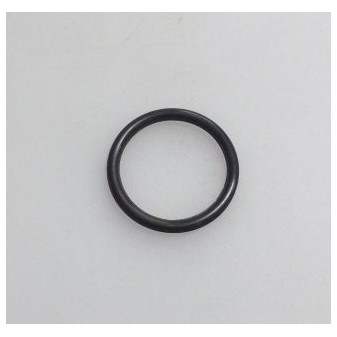 SEALING RING 24X20