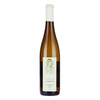 Chardonnay - pozdní sběr 13,5%  - suché - Regina Coeli 0.75 l